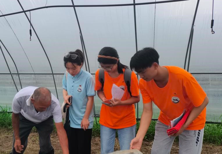 KY开元集团官网入口19支暑期社会实践队用实干书写“青春答卷”