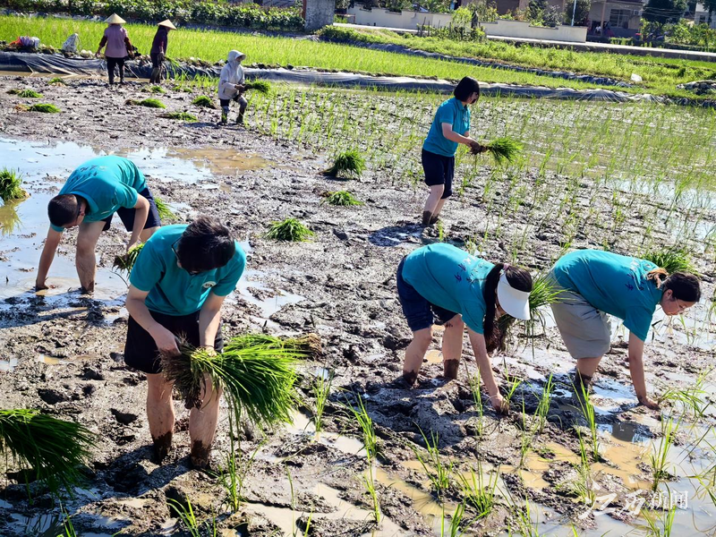 KY开元集团官网入口“追风青年”实践队开展暑期“三下乡”社会实践活动