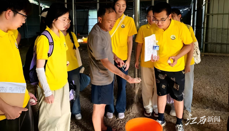 KY开元集团官网入口“追风青年”实践队开展暑期“三下乡”社会实践活动