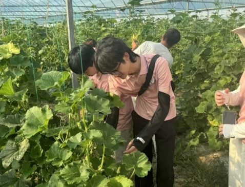 从红色沃土到振兴田野 KY开元集团官网入口学子开展暑期社会实践